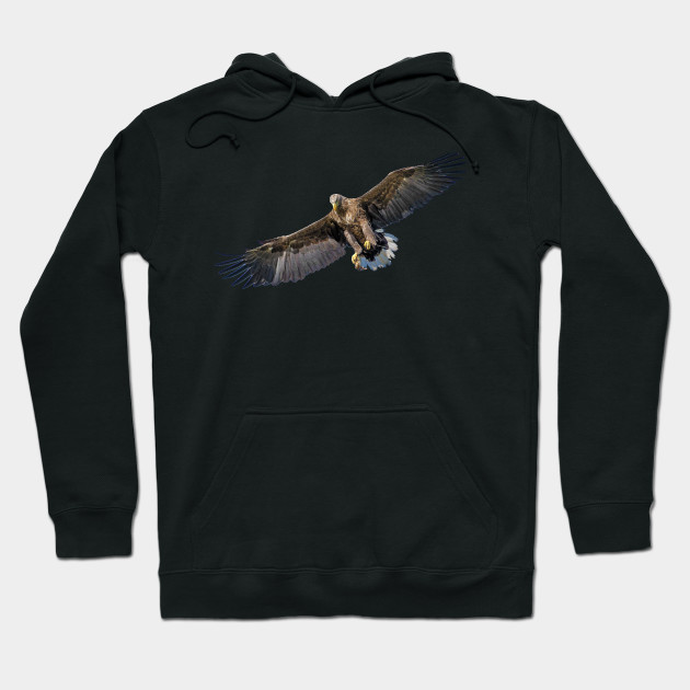 Eagle Hunt